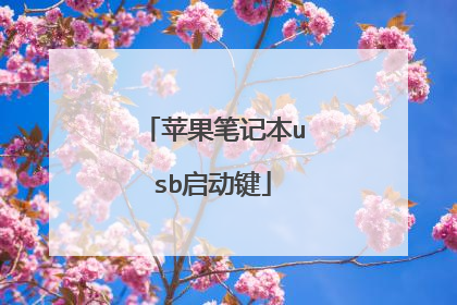 苹果笔记本usb启动键