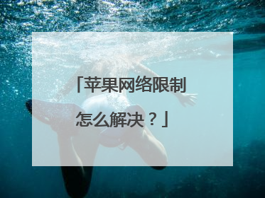 苹果网络限制怎么解决？