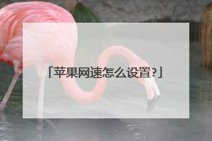 苹果网速怎么设置?