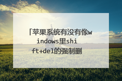苹果系统有没有像windows里shift+del的强制删除文件的快捷键?