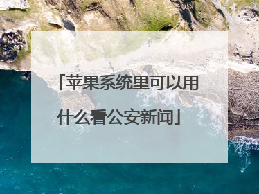 苹果系统里可以用什么看公安新闻