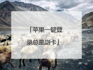 苹果一键登录总是副卡