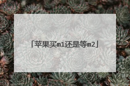 苹果买m1还是等m2