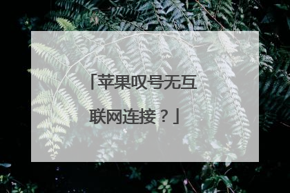 苹果叹号无互联网连接？