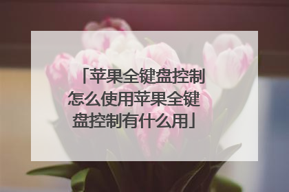 苹果全键盘控制怎么使用苹果全键盘控制有什么用