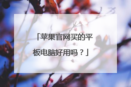 苹果官网买的平板电脑好用吗?