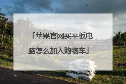 苹果官网买平板电脑怎么加入购物车