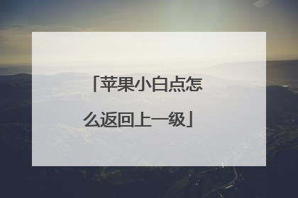 苹果小白点怎么返回上一级
