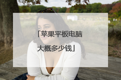 苹果平板电脑大概多少钱