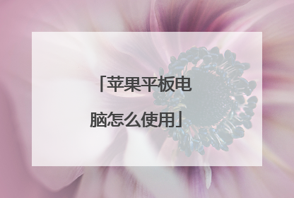 苹果平板电脑怎么使用