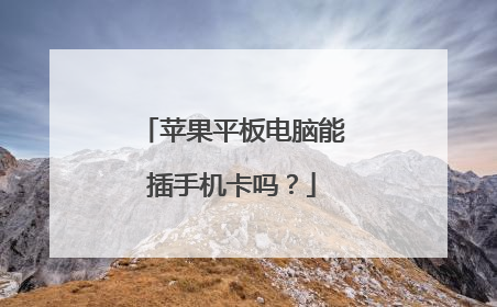 苹果平板电脑能插手机卡吗？