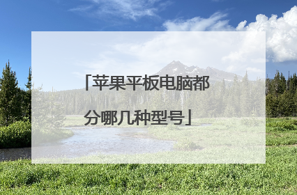苹果平板电脑都分哪几种型号