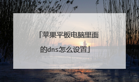 苹果平板电脑里面的dns怎么设置