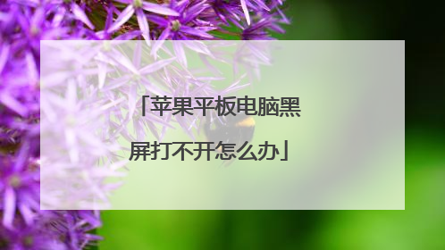 苹果平板电脑黑屏打不开怎么办