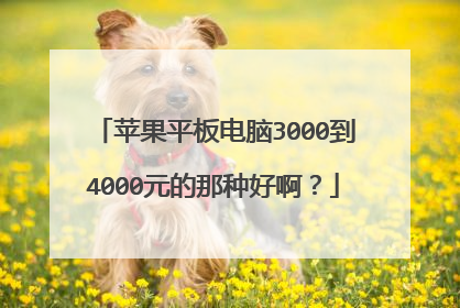 苹果平板电脑3000到4000元的那种好啊?