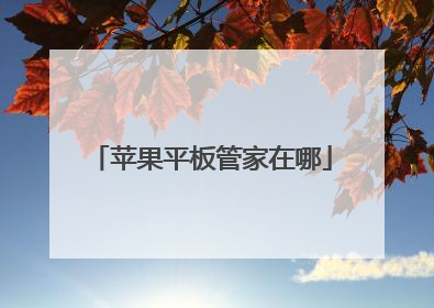 苹果平板管家在哪