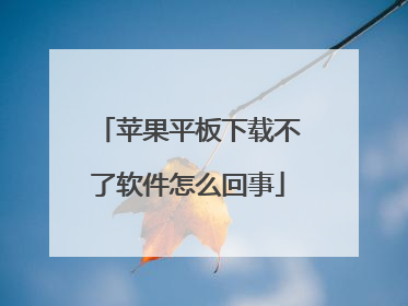 苹果平板下载不了软件怎么回事