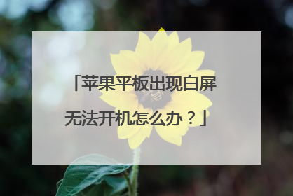 苹果平板出现白屏无法开机怎么办?