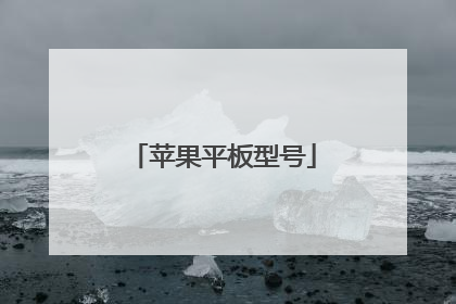 苹果平板型号
