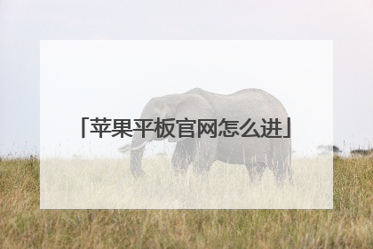 苹果平板官网怎么进