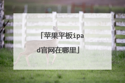 苹果平板ipad官网在哪里