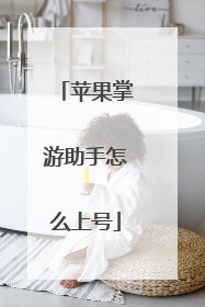 苹果掌游助手怎么上号