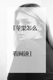 苹果怎么看网速