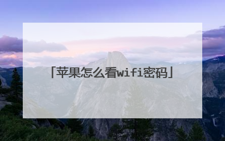 苹果怎么看wifi密码