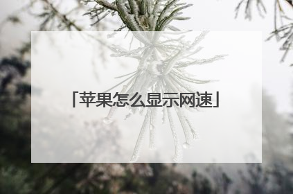 苹果怎么显示网速