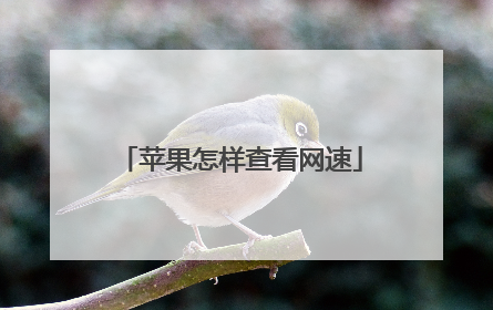 苹果怎样查看网速