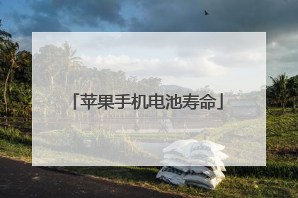苹果手机电池寿命