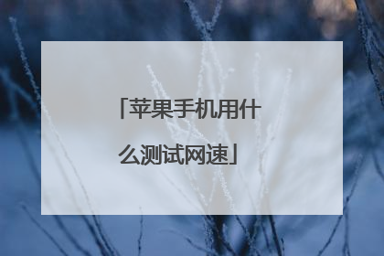 苹果手机用什么测试网速