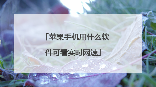 苹果手机用什么软件可看实时网速