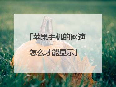 苹果手机的网速怎么才能显示
