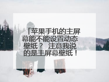 苹果手机的主屏幕能不能设置动态壁纸？ 注意我说的是主屏幕壁纸！不是锁屏壁纸！
