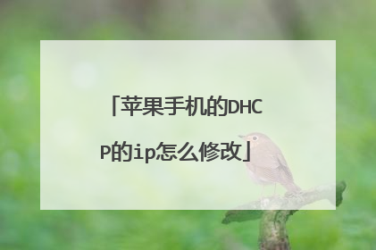苹果手机的DHCP的ip怎么修改