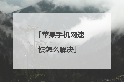 苹果手机网速慢怎么解决