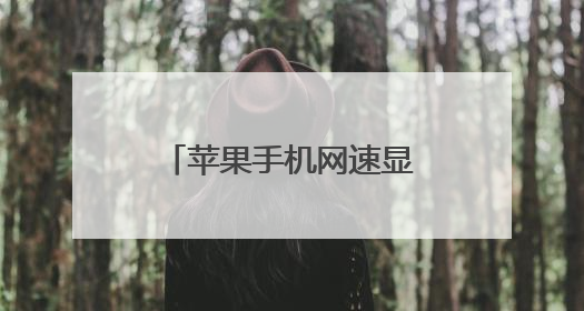 苹果手机网速显示在哪设置？