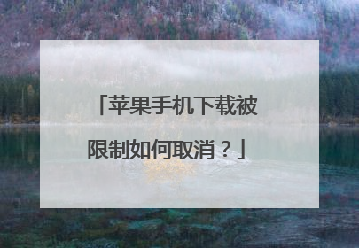 苹果手机下载被限制如何取消？