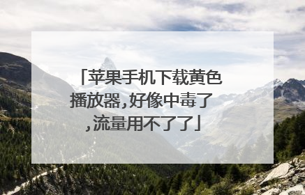 苹果手机下载黄色播放器,好像中毒了,流量用不了了