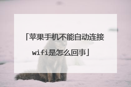 苹果手机不能自动连接wifi是怎么回事