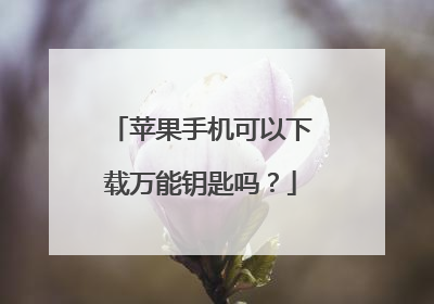 苹果手机可以下载万能钥匙吗?