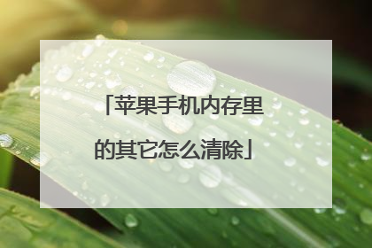 苹果手机内存里的其它怎么清除