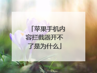 苹果手机内容拦截器开不了是为什么