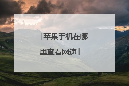 苹果手机在哪里查看网速