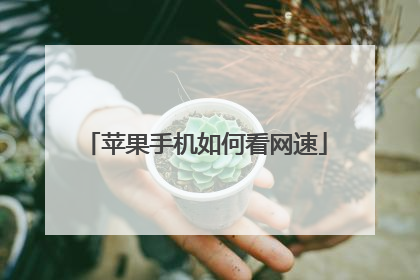苹果手机如何看网速
