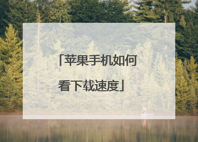 苹果手机如何看下载速度