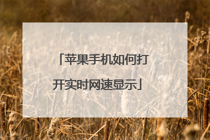 苹果手机如何打开实时网速显示
