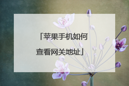 苹果手机如何查看网关地址