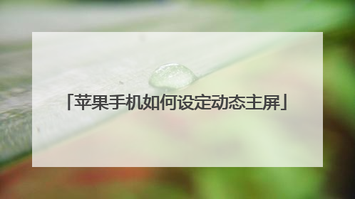 苹果手机如何设定动态主屏